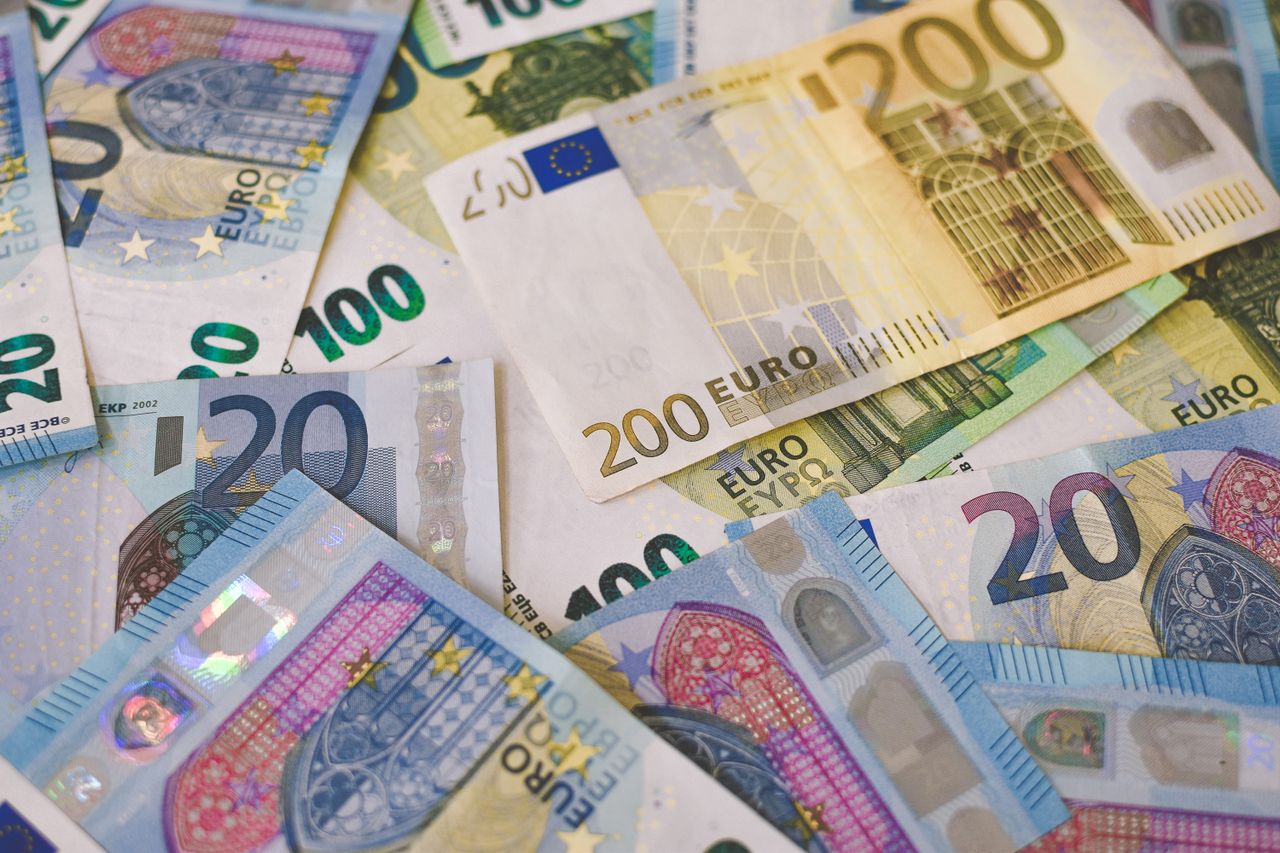 Which countries use the euro as their local currency?